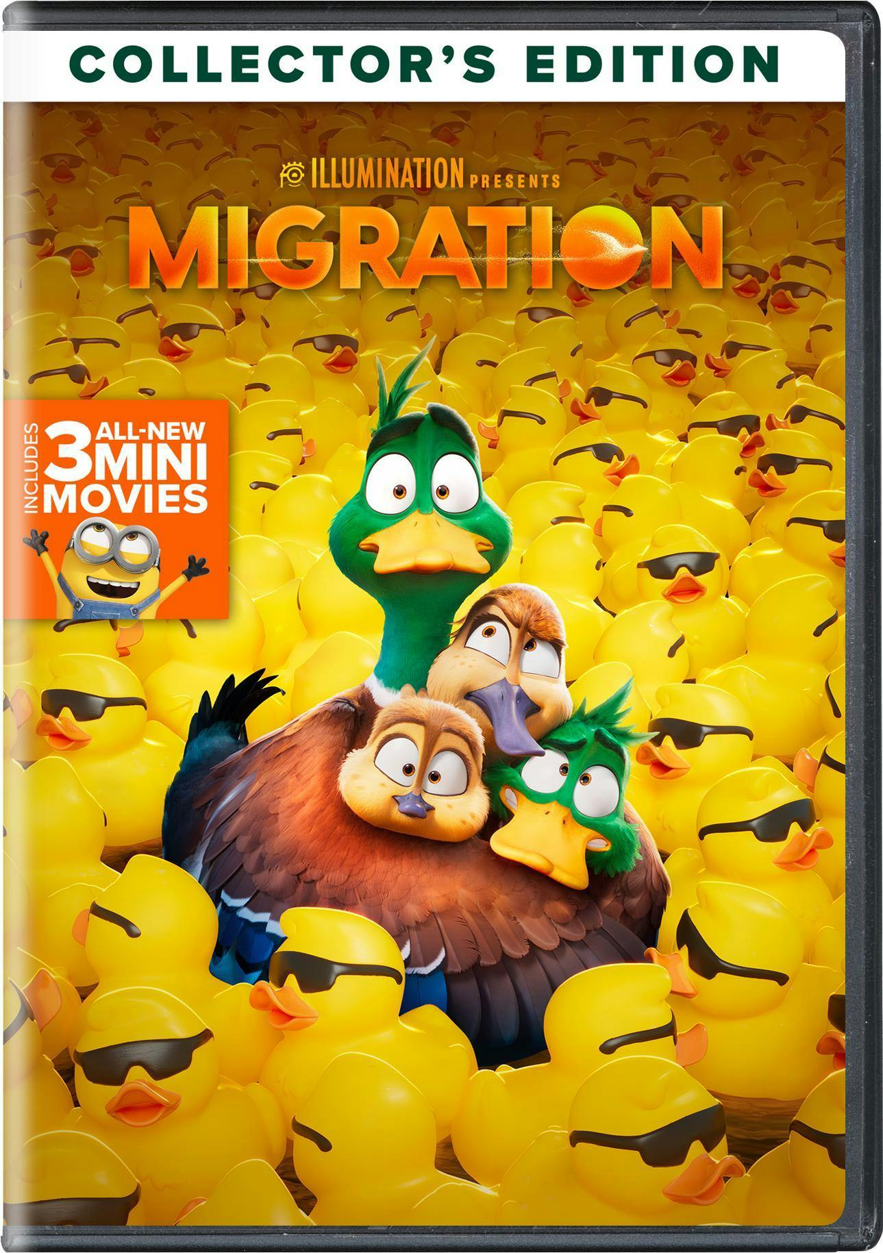 Migration [DVD] – GRUV Entertainment
