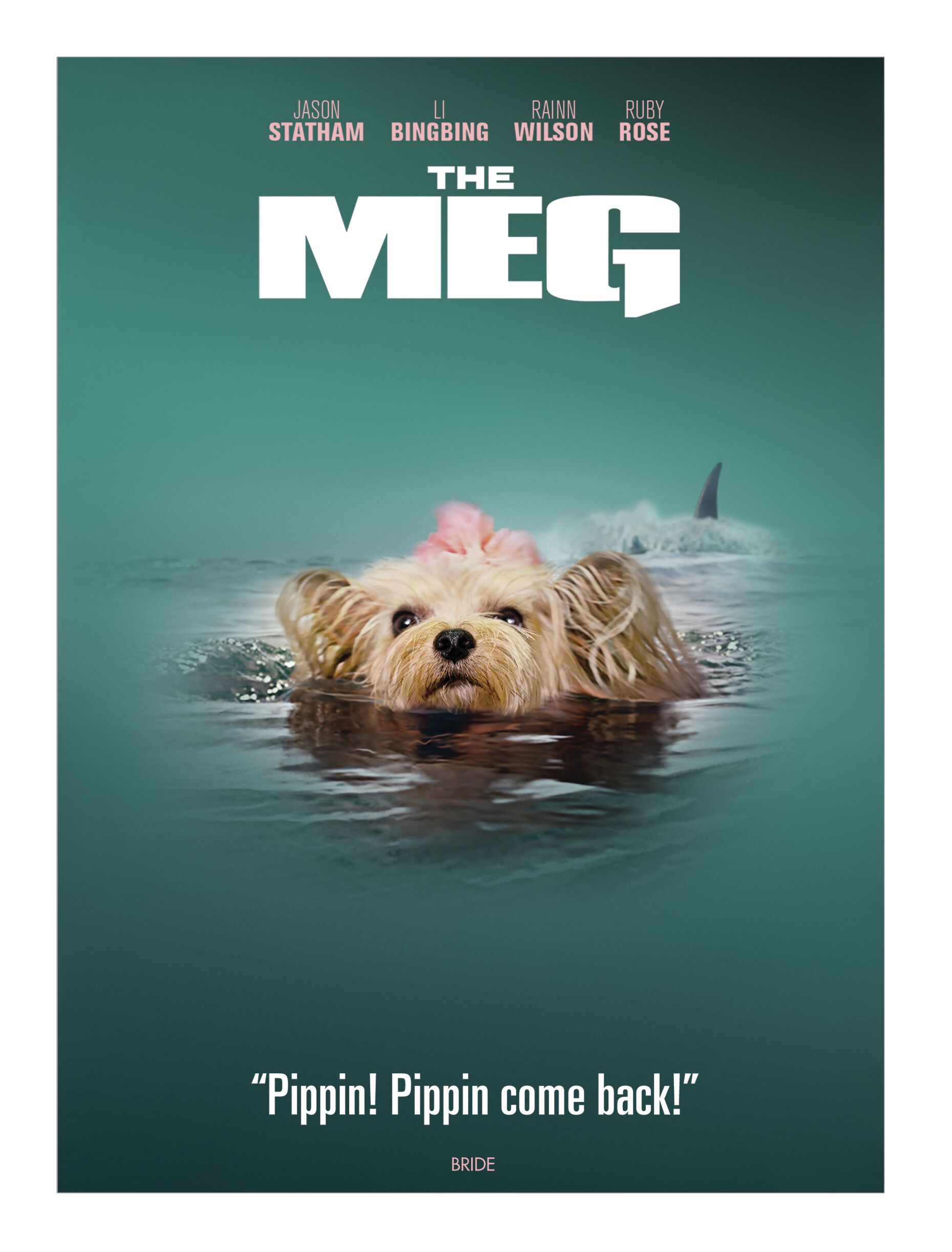 Buy The Meg IconicMoment Look DVD DVD GRUV