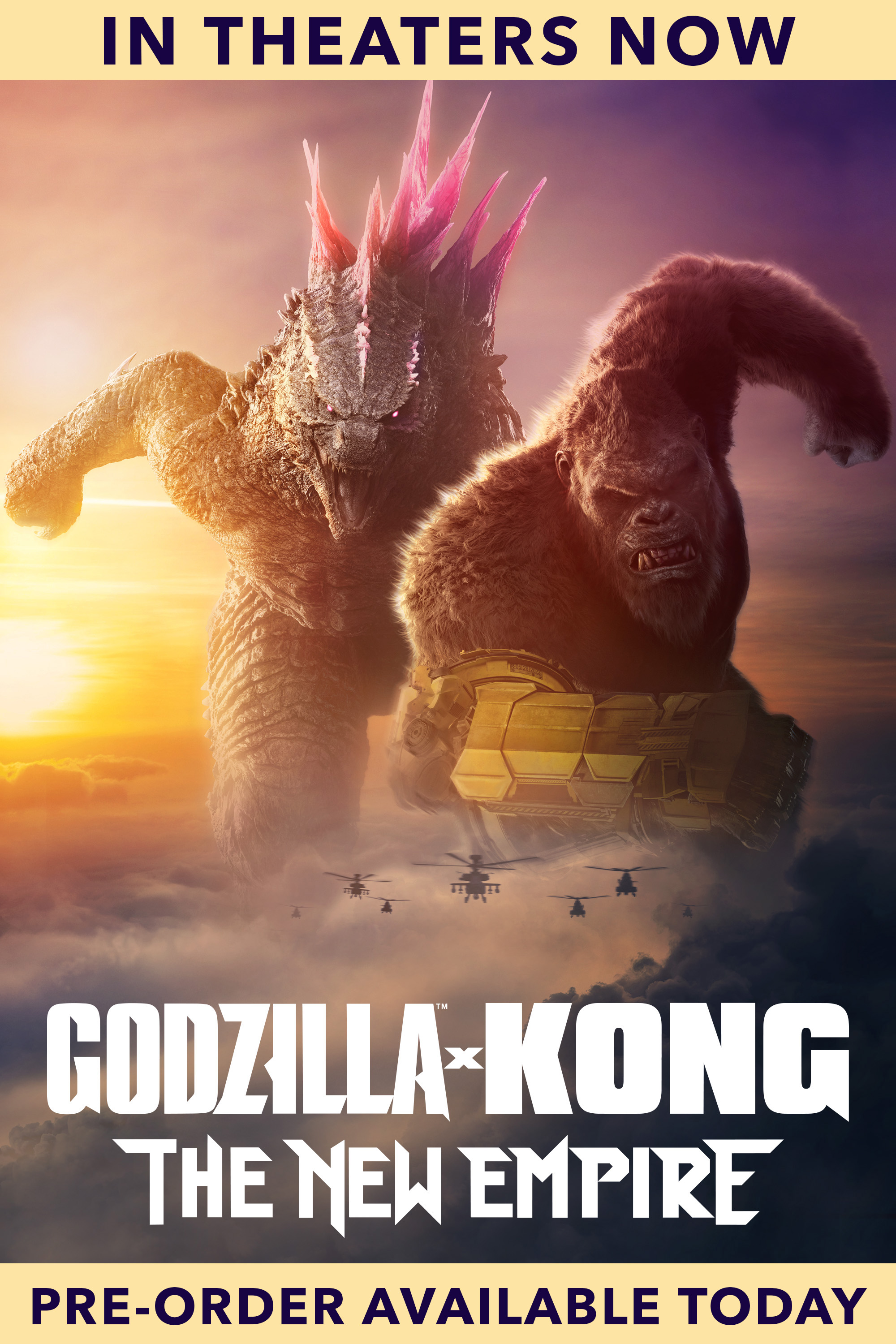 Pre order Godzilla x Kong The New Empire DVD GRUV