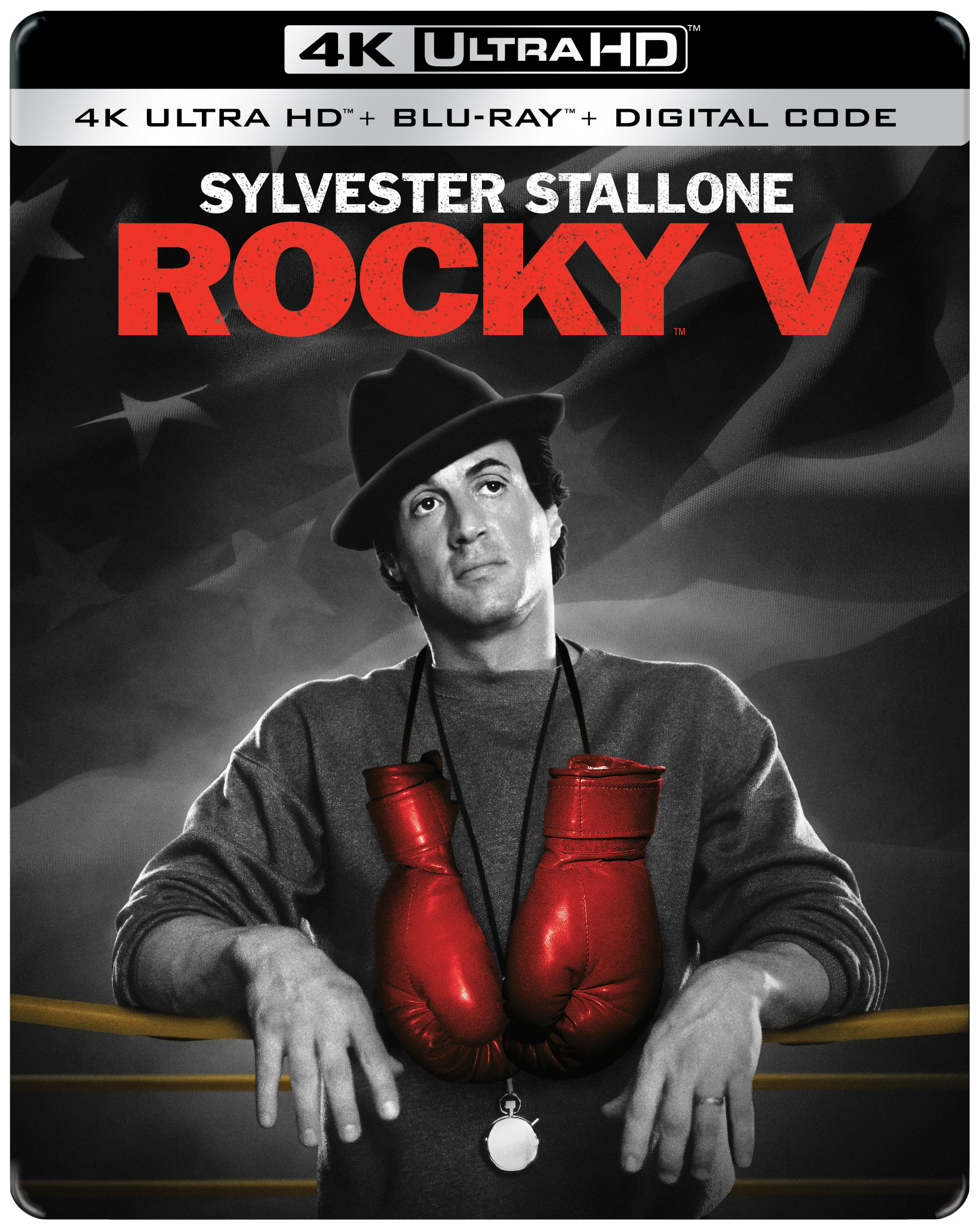 Pre-order Rocky 5 Limited Edition 4K Steelbook + Blu-ray UHD | GRUV