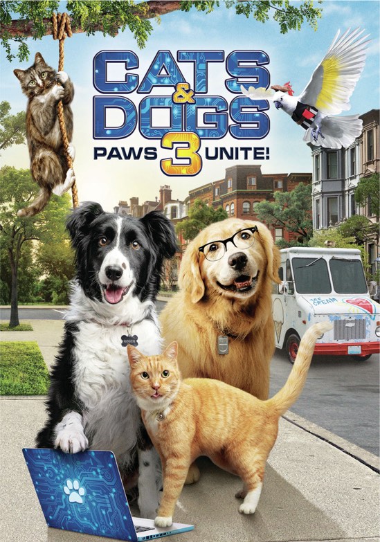 Buy Cats Dogs Paws Unite DVD GRUV