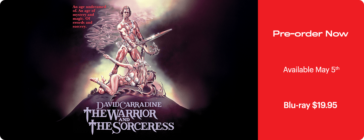 The Warrior and the Sorceress