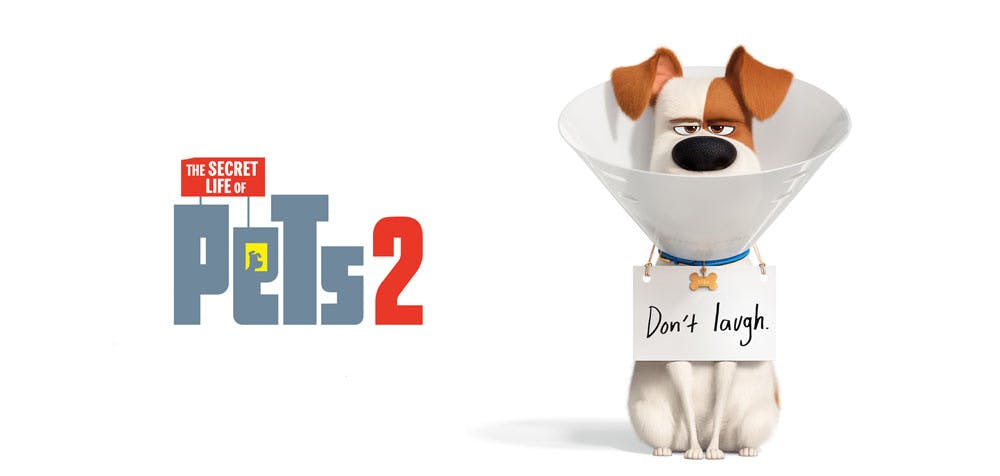 The Secret Life Of Pets 2