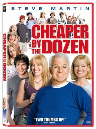 Cheaper By the Dozen (2003) [DVD]