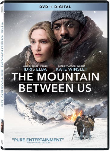 The Mountain Between Us [DVD]