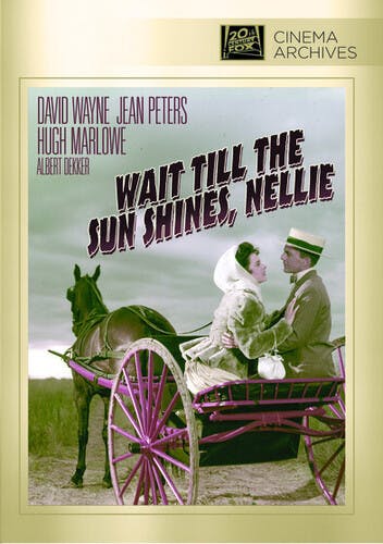 Wait 'till the Sun Shines, Nellie [DVD]