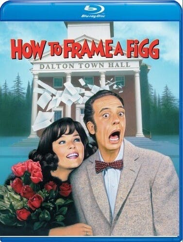 How to Frame a Figg [blu-ray] [Blu-ray]