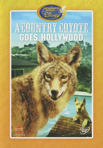 A Country Coyote Goes Hollywood [DVD]