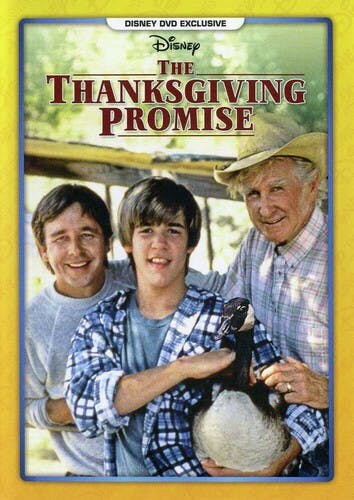 The Thanksgiving Promise [DVD]