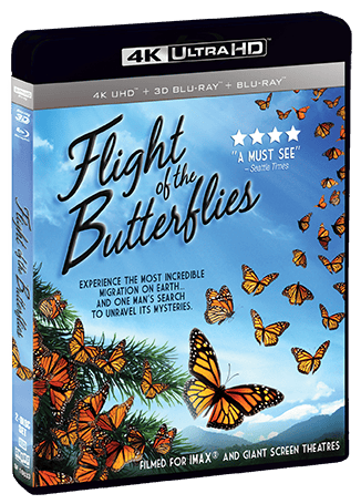 Flight Of The Butterflies [UHD]