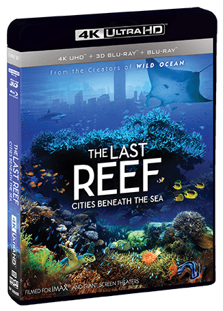 The Last Reef: Cities Beneath The Sea [UHD]