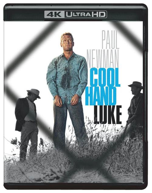 Cool Hand Luke (4K Ultra HD + Blu-ray) [UHD]