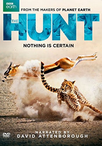 The Hunt [DVD]