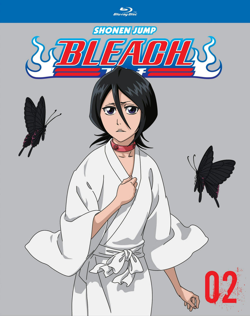 Bleach Box Set 2: Entry [Blu-ray]