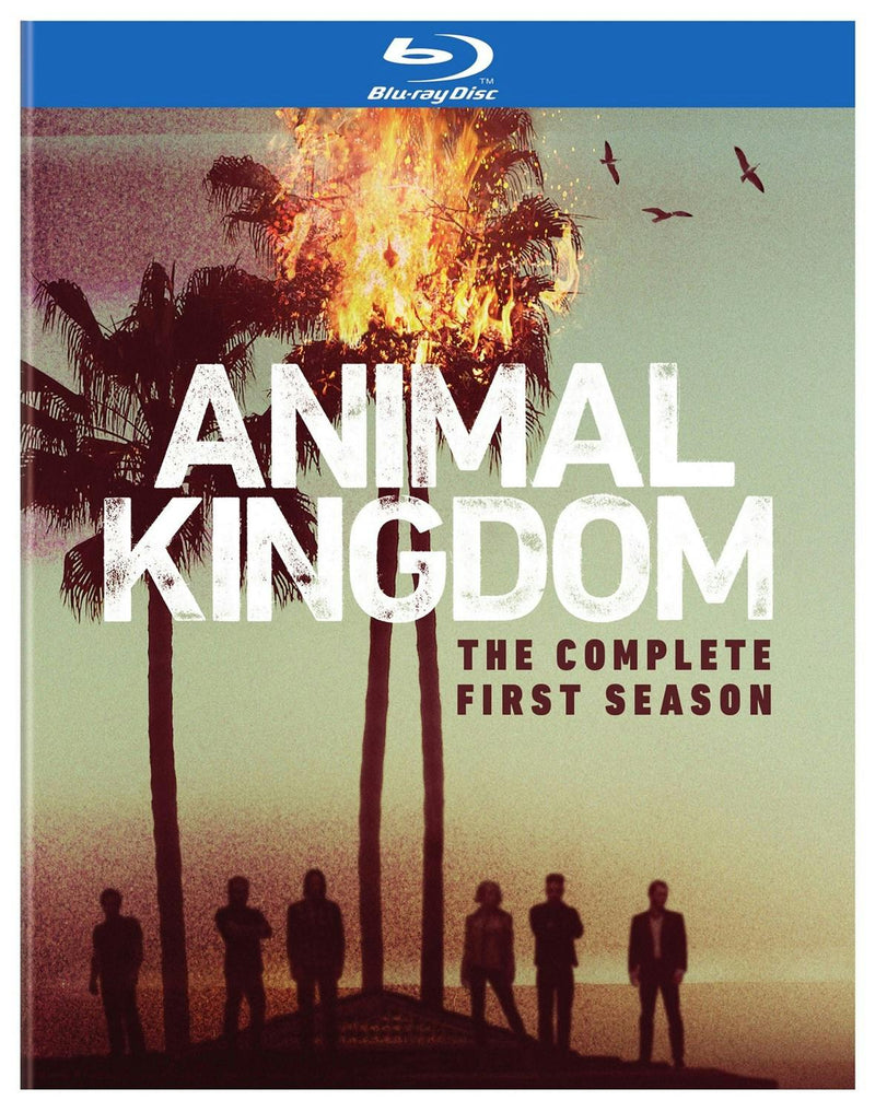 Animal Kingdom: The Complete First Season [Blu-ray]