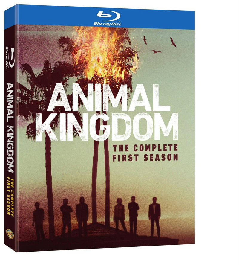 Animal Kingdom: The Complete First Season [Blu-ray]