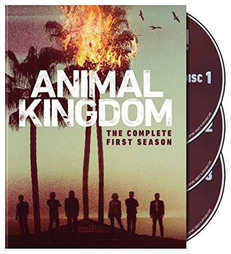 Animal Kingdom: Complete First Season S1 (DVD) [DVD]