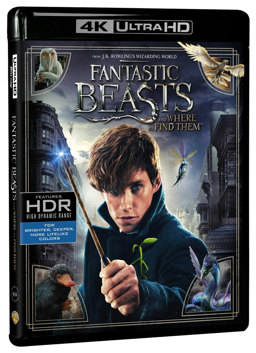 Fantastic Beasts and Where to Find Them (4K Ultra HD + Blu-ray) [UHD]