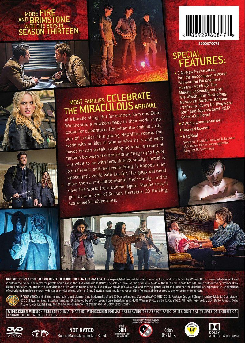 Supernatural: The Complete Thirteenth Season (Box Set) [DVD]