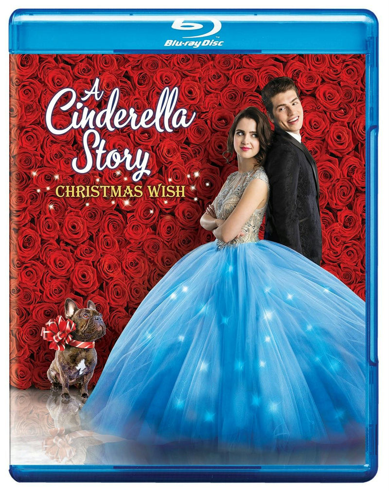 Cinderella Story, A:  Christmas Wish [Blu-ray]