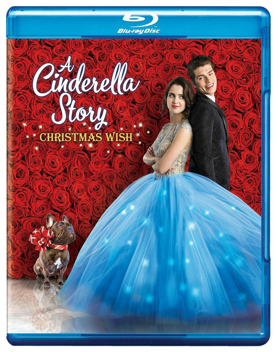 Cinderella Story, A:  Christmas Wish [Blu-ray]