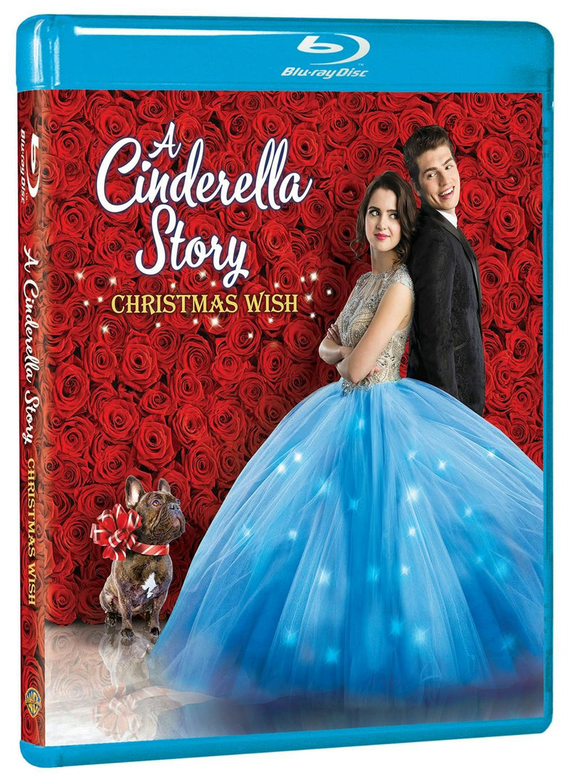 Cinderella Story, A:  Christmas Wish [Blu-ray]
