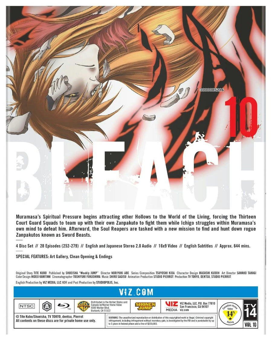 Bleach [Blu-ray]