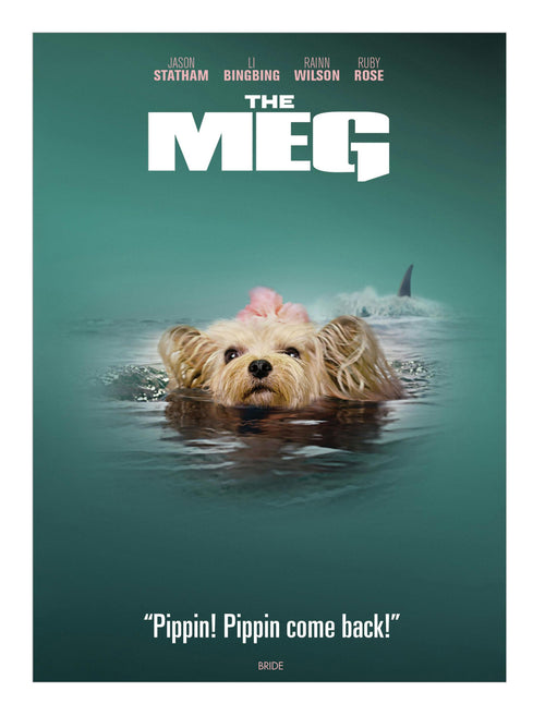 The Meg (IconicMoment Look) [DVD] [DVD]