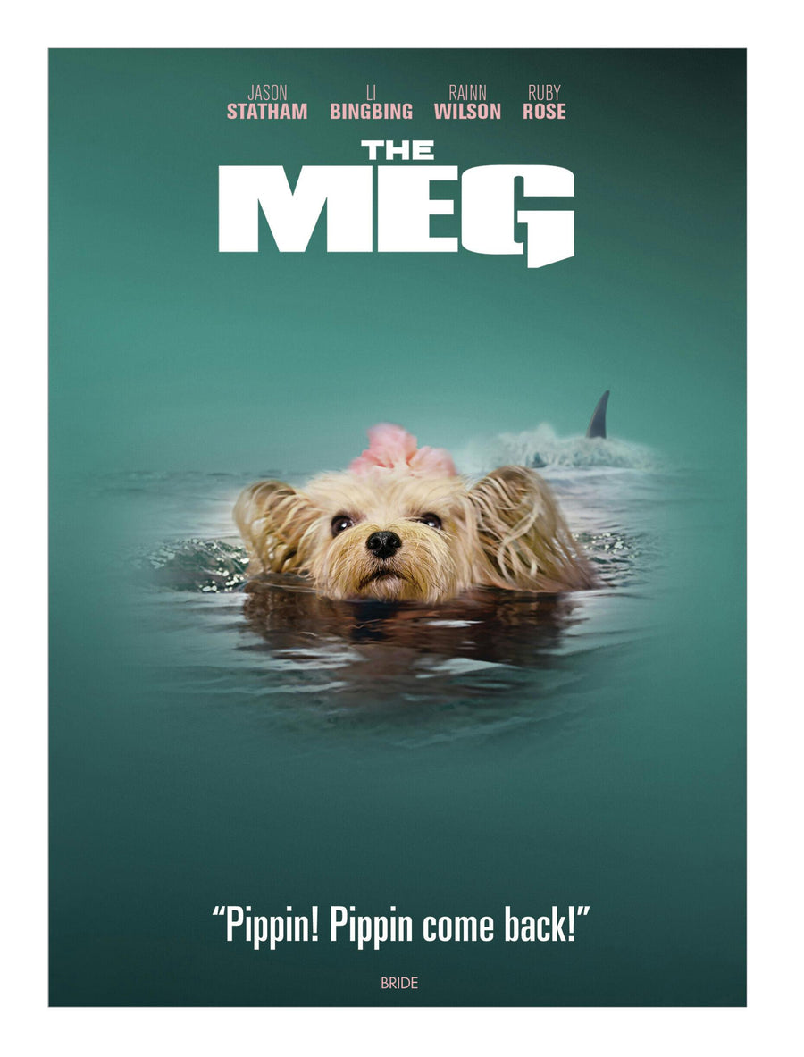 The Meg (IconicMoment Look) [DVD] [DVD]