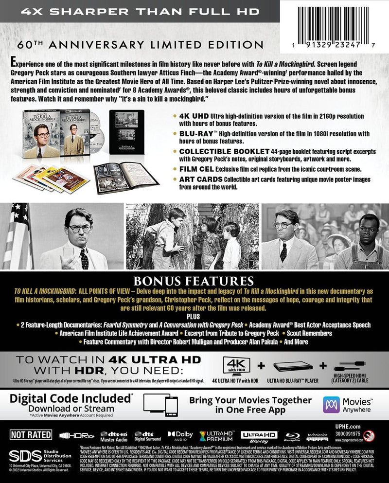 What is the Resolution in to Kill a Mockingbird: Unveiled Truths