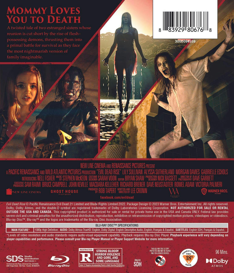 Evil Dead Rise (Blu-ray) [Blu-ray]
