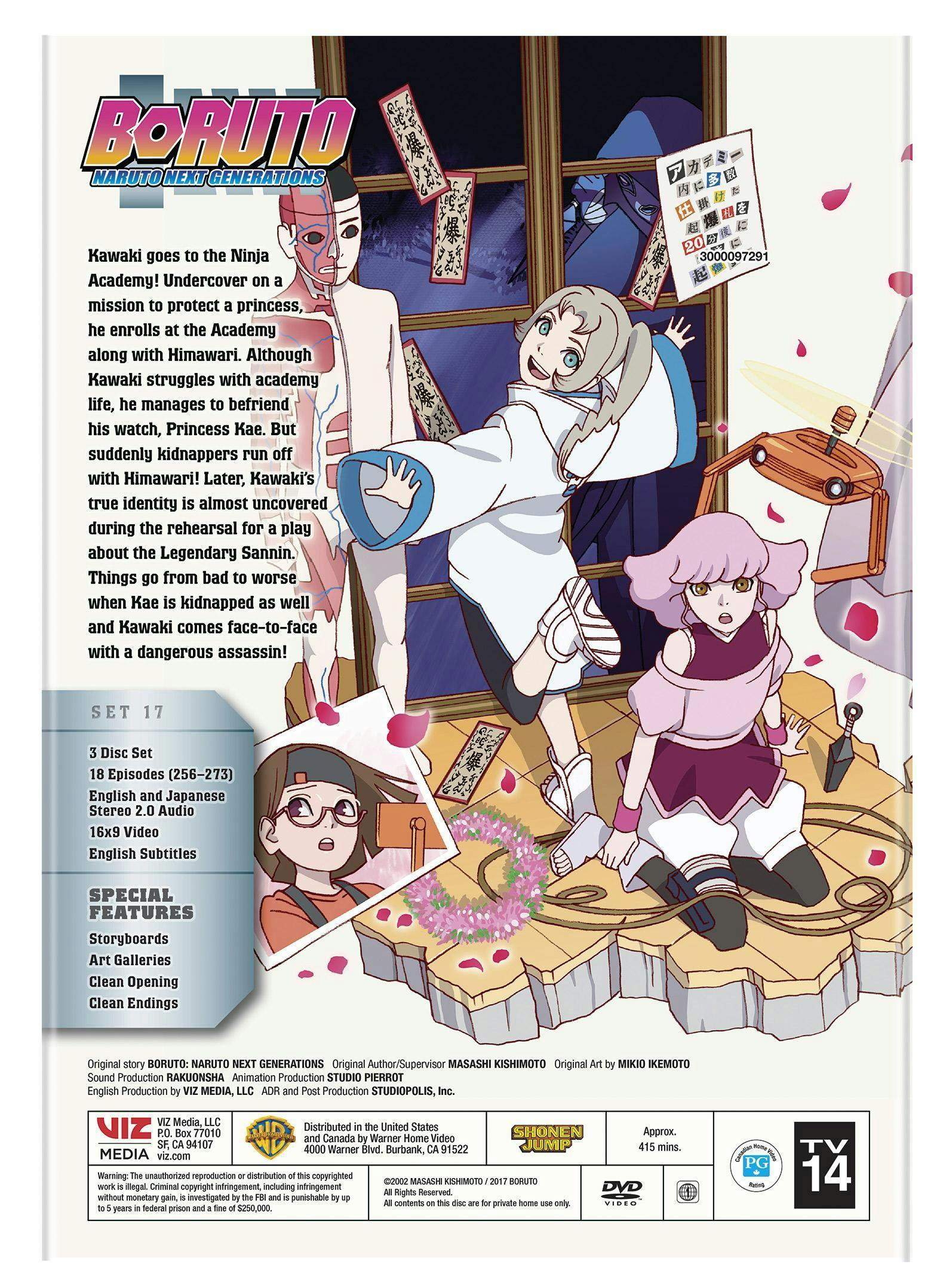 Boruto - Naruto Next Generations: Kawaki Goes Undercover [DVD