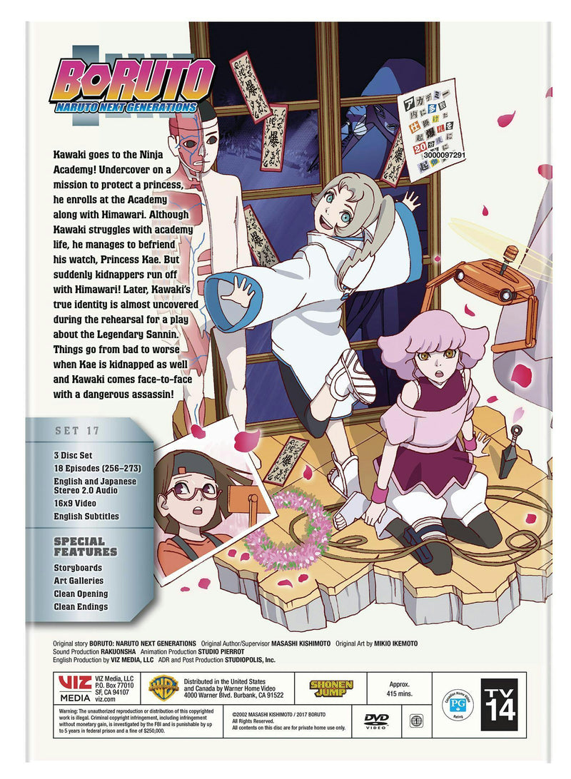 Boruto - Naruto Next Generations: Kawaki Goes Undercover [DVD]