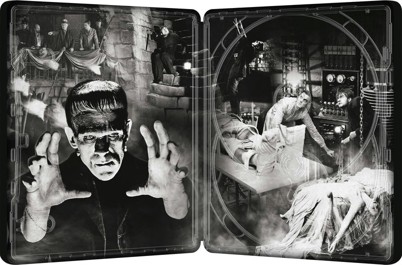 Frankenstein (Limited Edition 4K Ultra HD Steelbook + Blu-ray + Digital) [UHD]