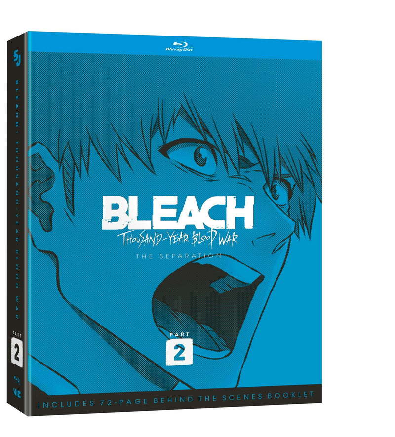 Bleach: Thousand-Year Blood War - Part 2 (Limited Edition Blu-ray) [Blu-ray]