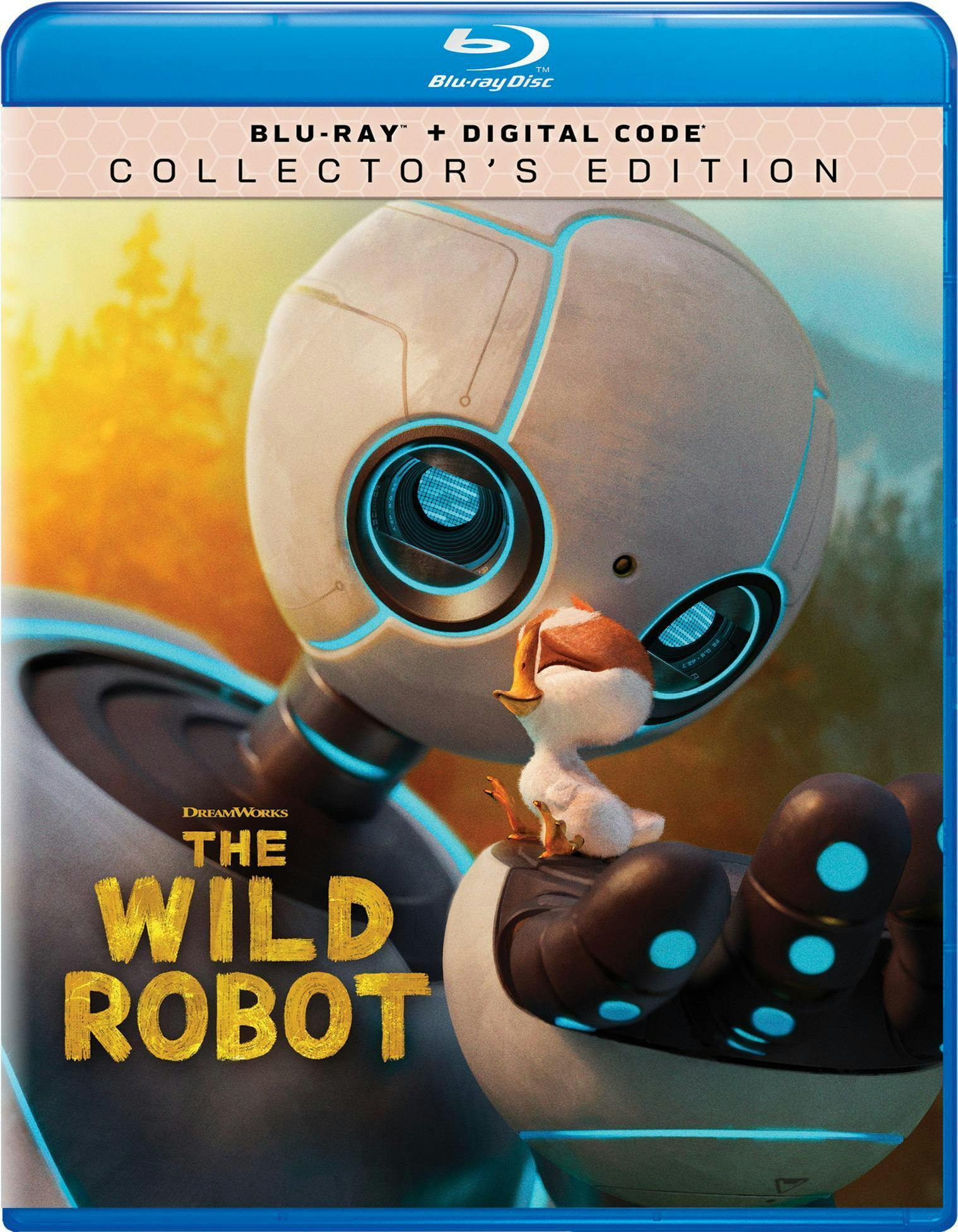 Blu-ray Animated – GRUV Entertainment