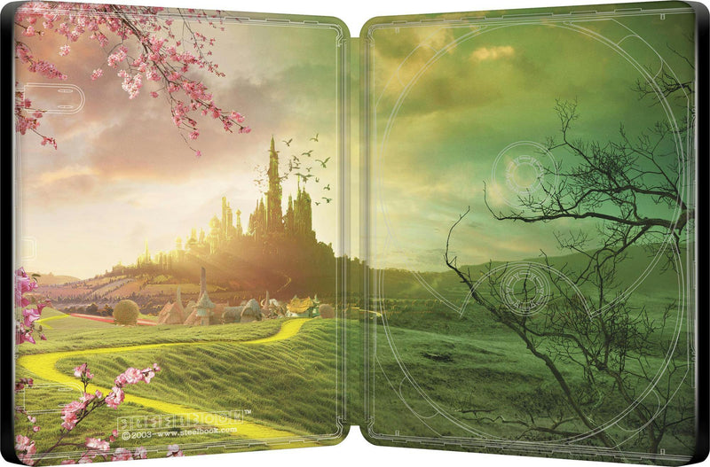 Wicked - Limited Edition Steelbook [UHD]