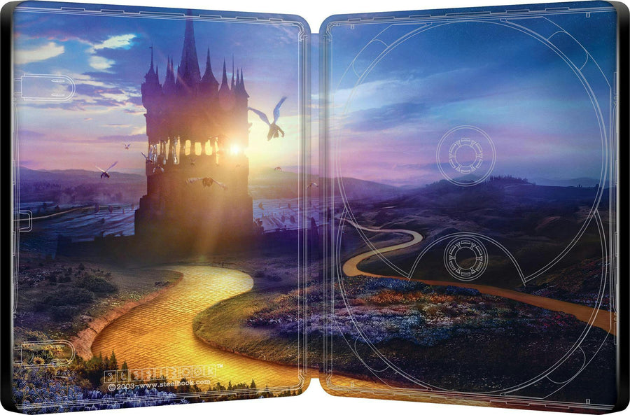 Wicked: For Good (Limited Edition 4K Ultra HD Steelbook + Blu-ray + Digital) [UHD]