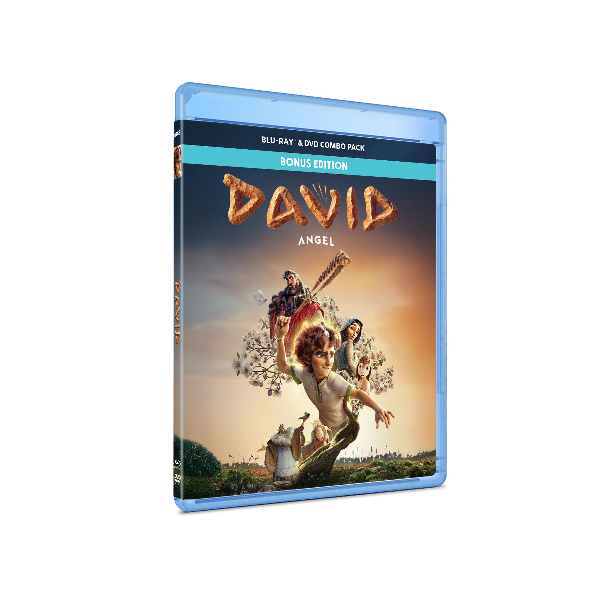 David (Blu-ray + DVD Combo) [Blu-ray] – GRUV Entertainment