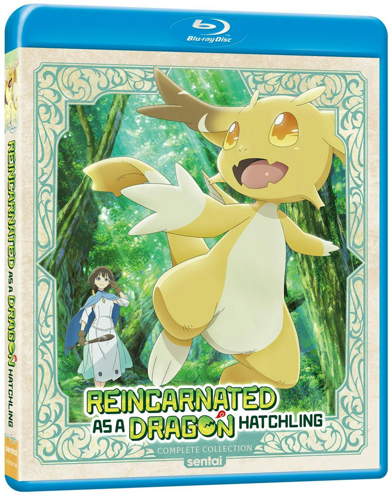 Reincarnated as a Dragon Hatchling Complete Collection [Blu-ray]