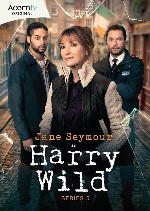 Harry Wild: Series 5 [DVD]