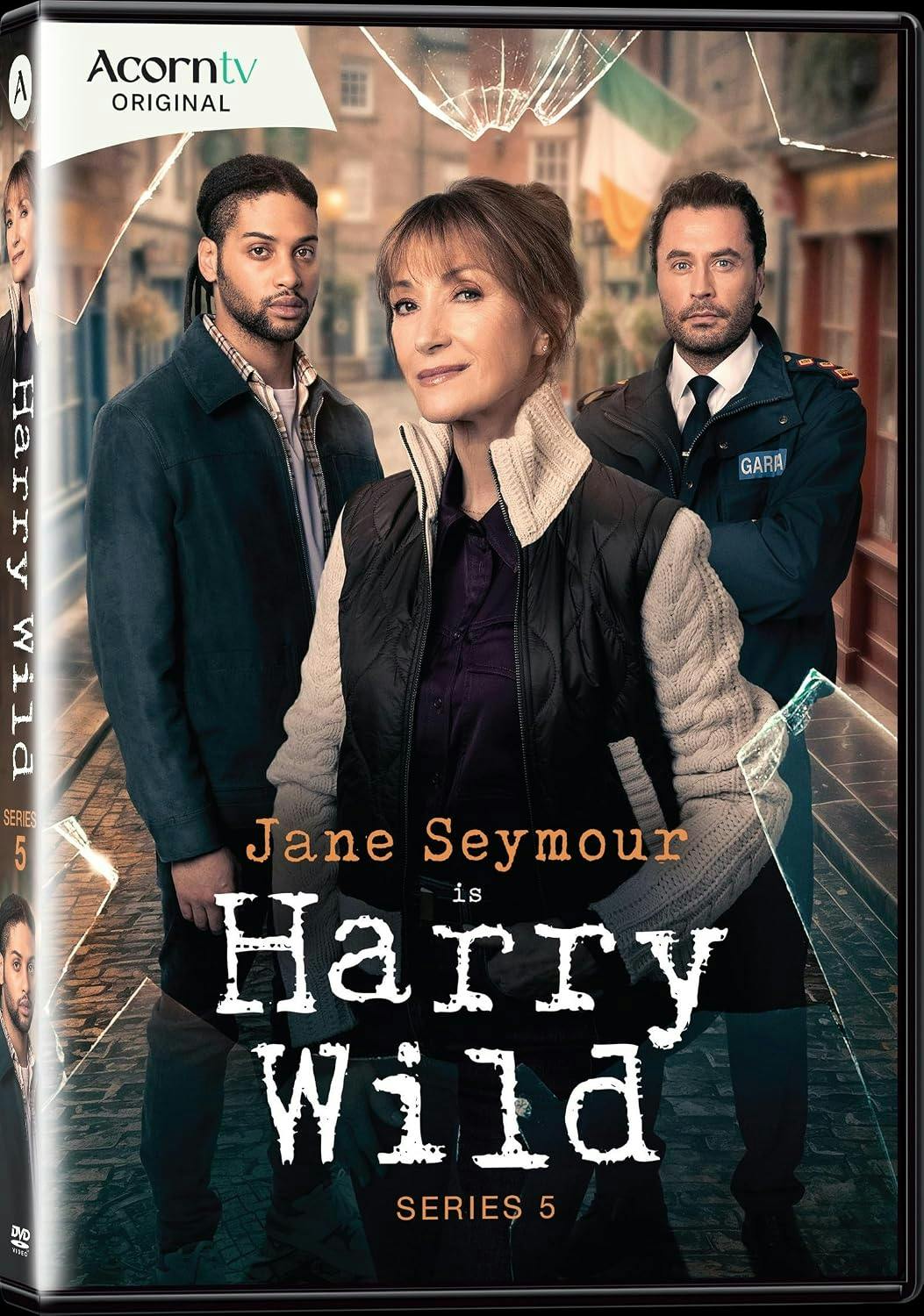 Harry Wild: Series 5 [DVD]