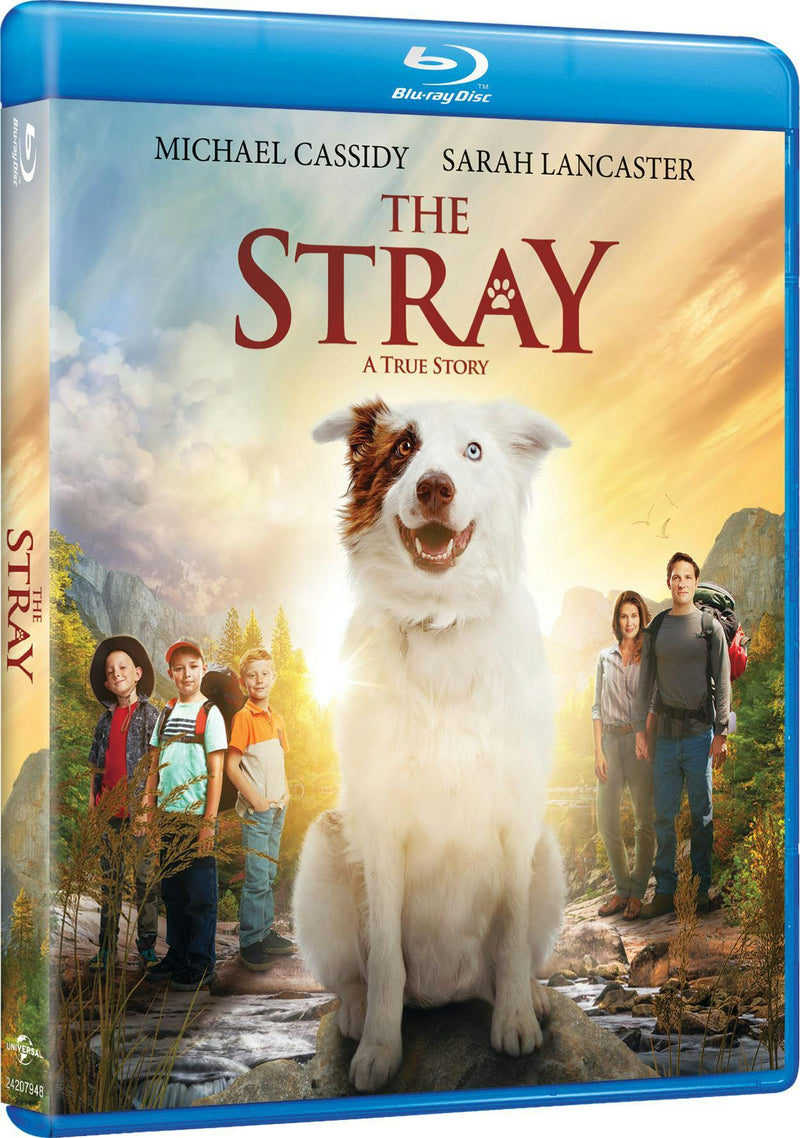 The Stray [Blu-ray]