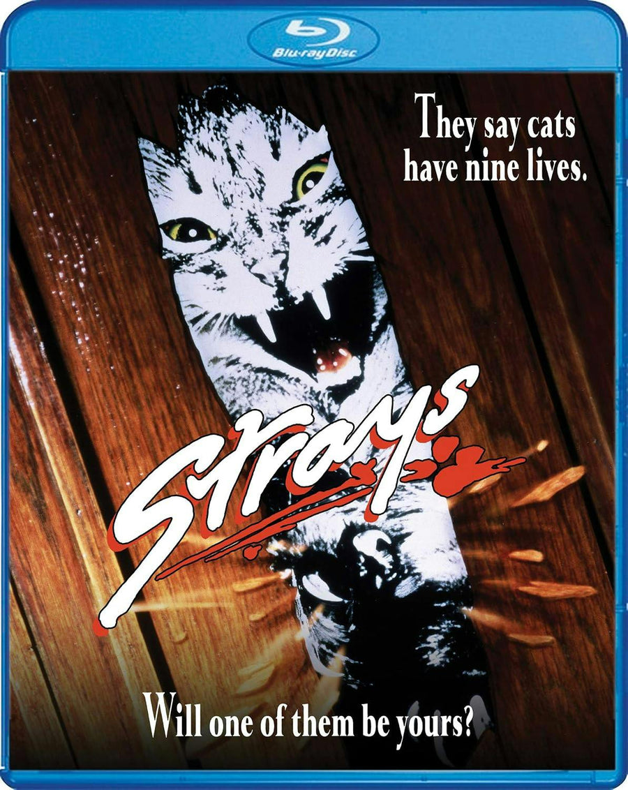 Strays [Blu-ray]