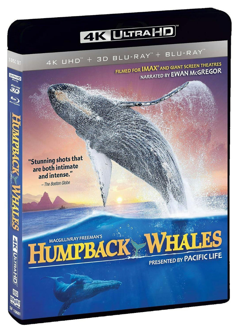 Humpback Whales [UHD]