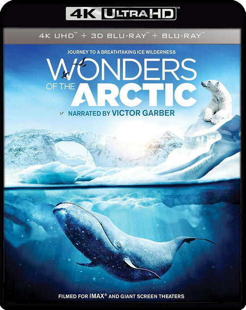 Wonders Of The Arctic [UHD]