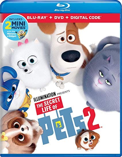 The Secret Life of Pets 2 (DVD + Digital) [Blu-ray]
