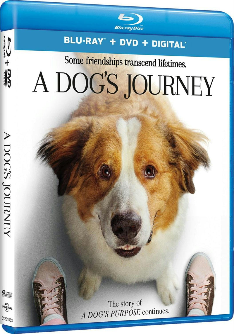 A Dog's Journey (DVD + Digital) [Blu-ray]