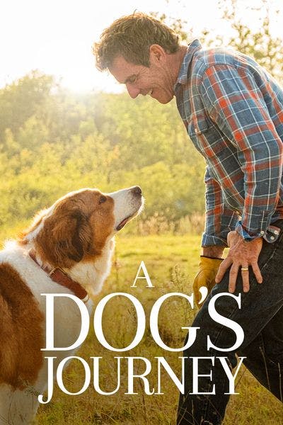 A Dog's Journey [Digital Code - UHD]