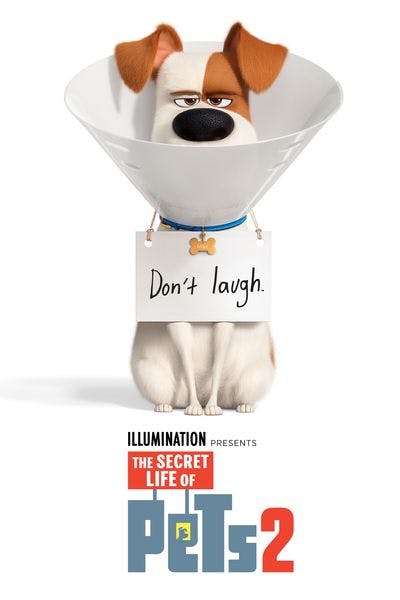The Secret Life of Pets 2  [Digital Code - UHD]
